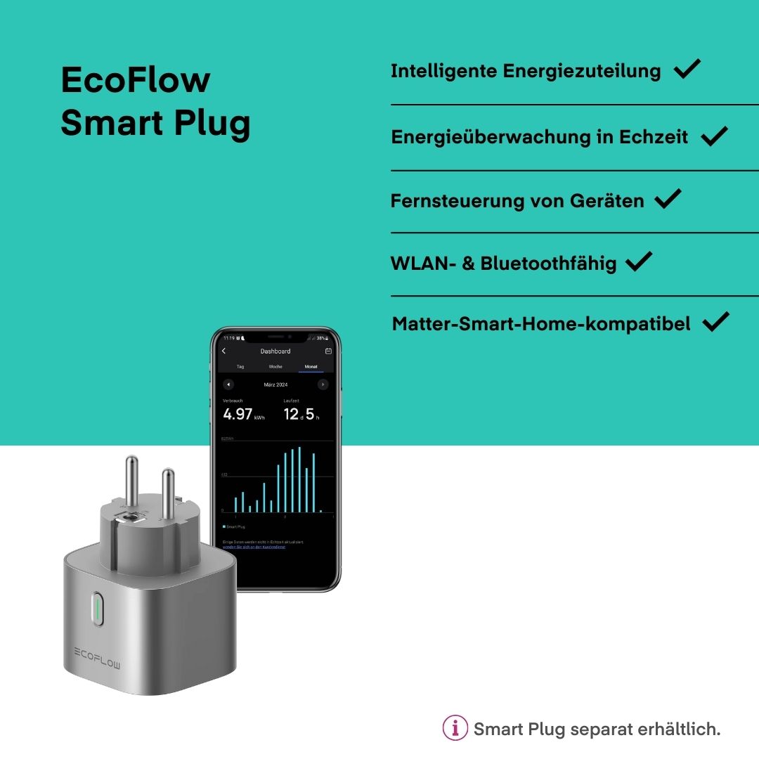 EcoFlow Smart Plug