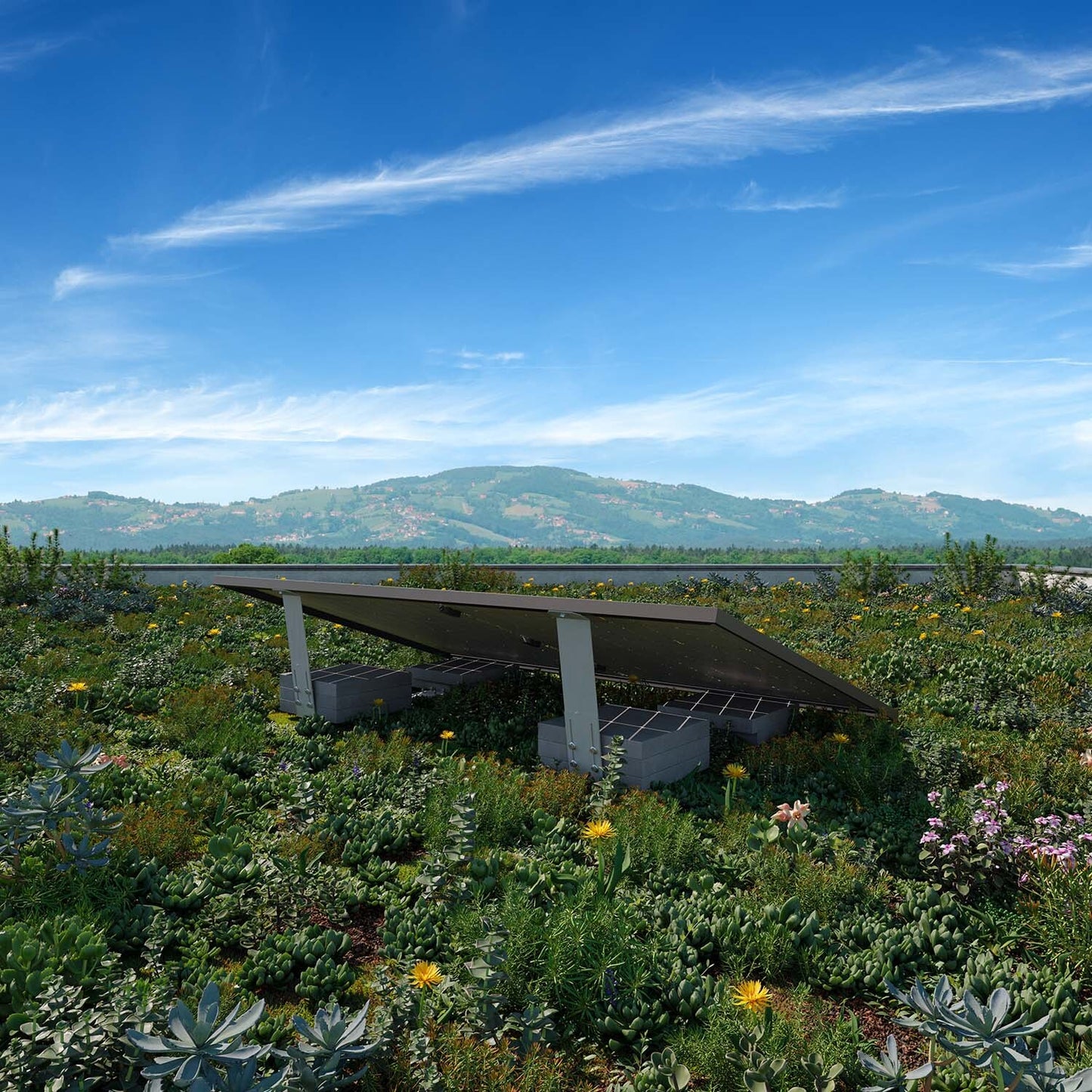 Solarpanels auf einem Dach vor Panorama