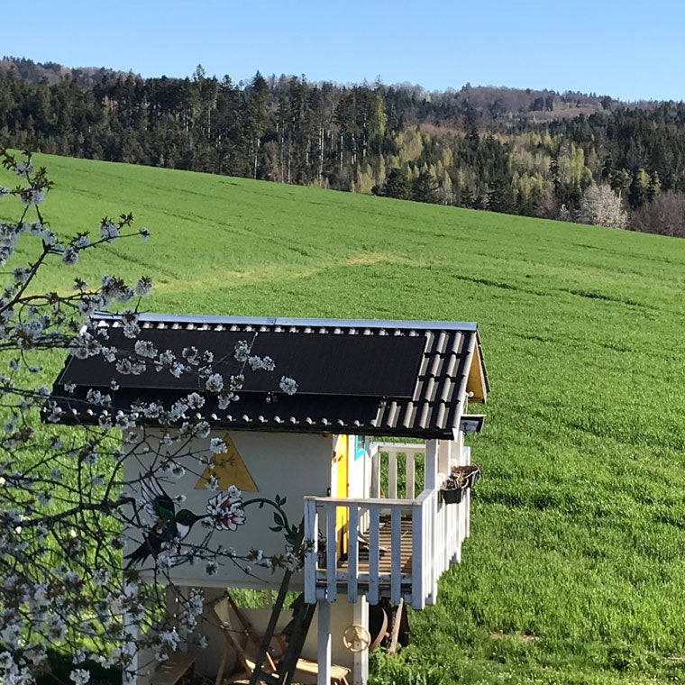 Hütte mit Solarpanels auf dem Dach