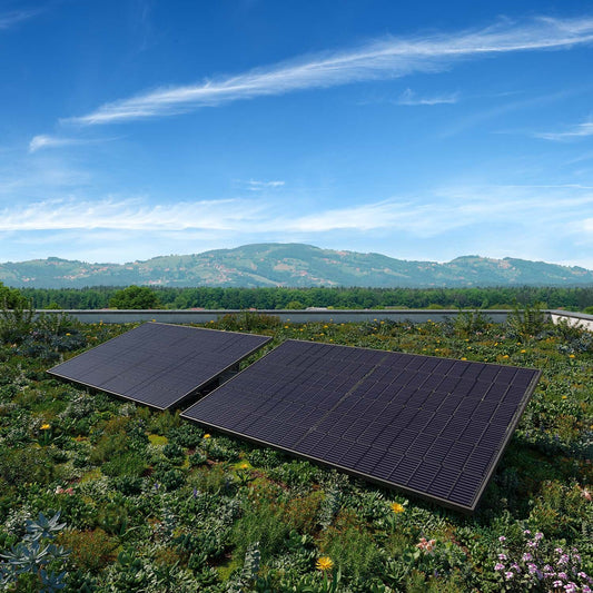 Solarmodule auf einem Flachdach. Im Hintergrund Bergpanorama.