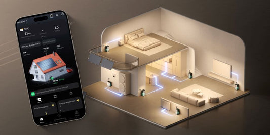 EcoFlow OASIS: Die KI, die dein Balkonkraftwerk intelligent macht