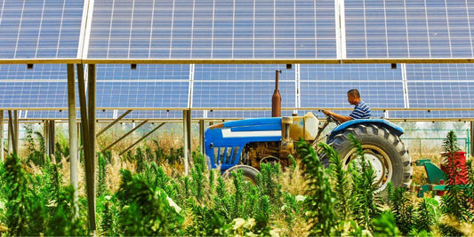 Photovoltaik und Balkonkraftwerke in der Landwirtschaft