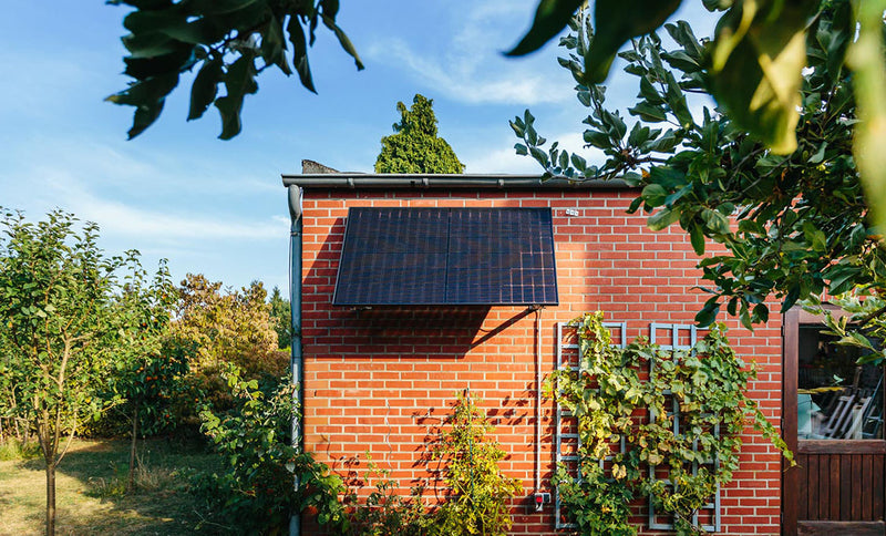 Yuma Front an Backsteinmauer von vorne