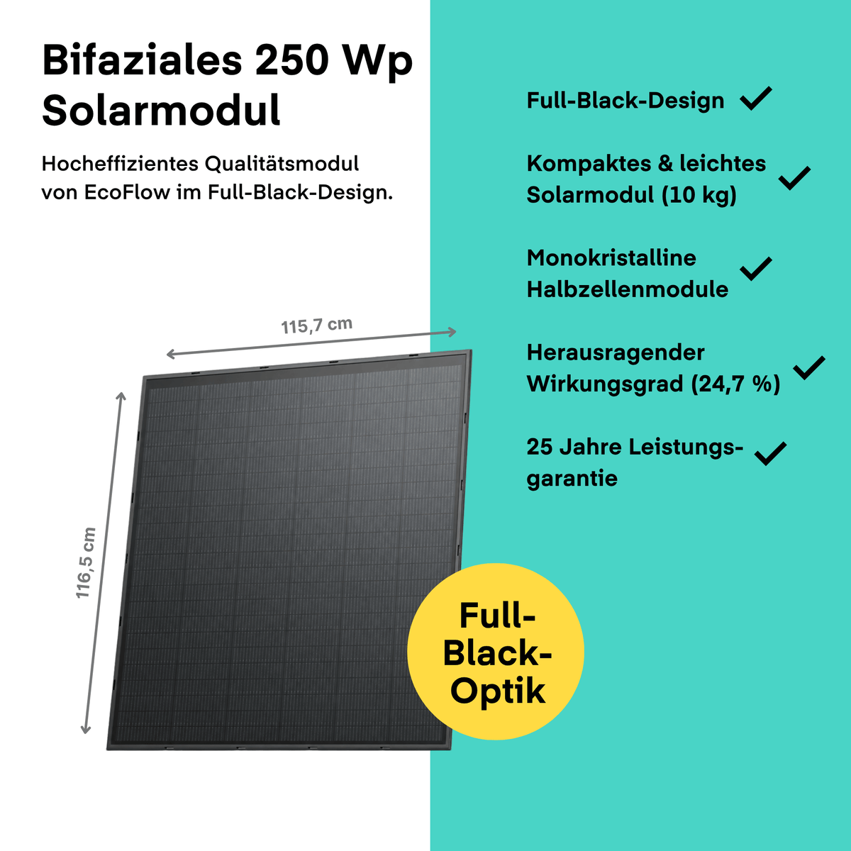 EcoFlow 250W Solarmodul 4er Pack von EcoFlow