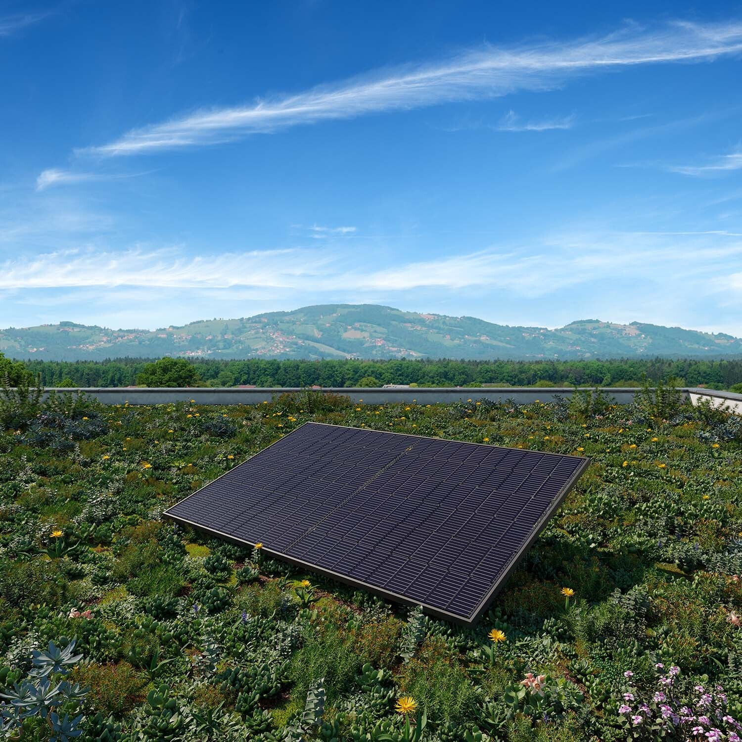 Flachdach-Balkonkraftwerke 800W - Mini-Solaranlagen Kaufen