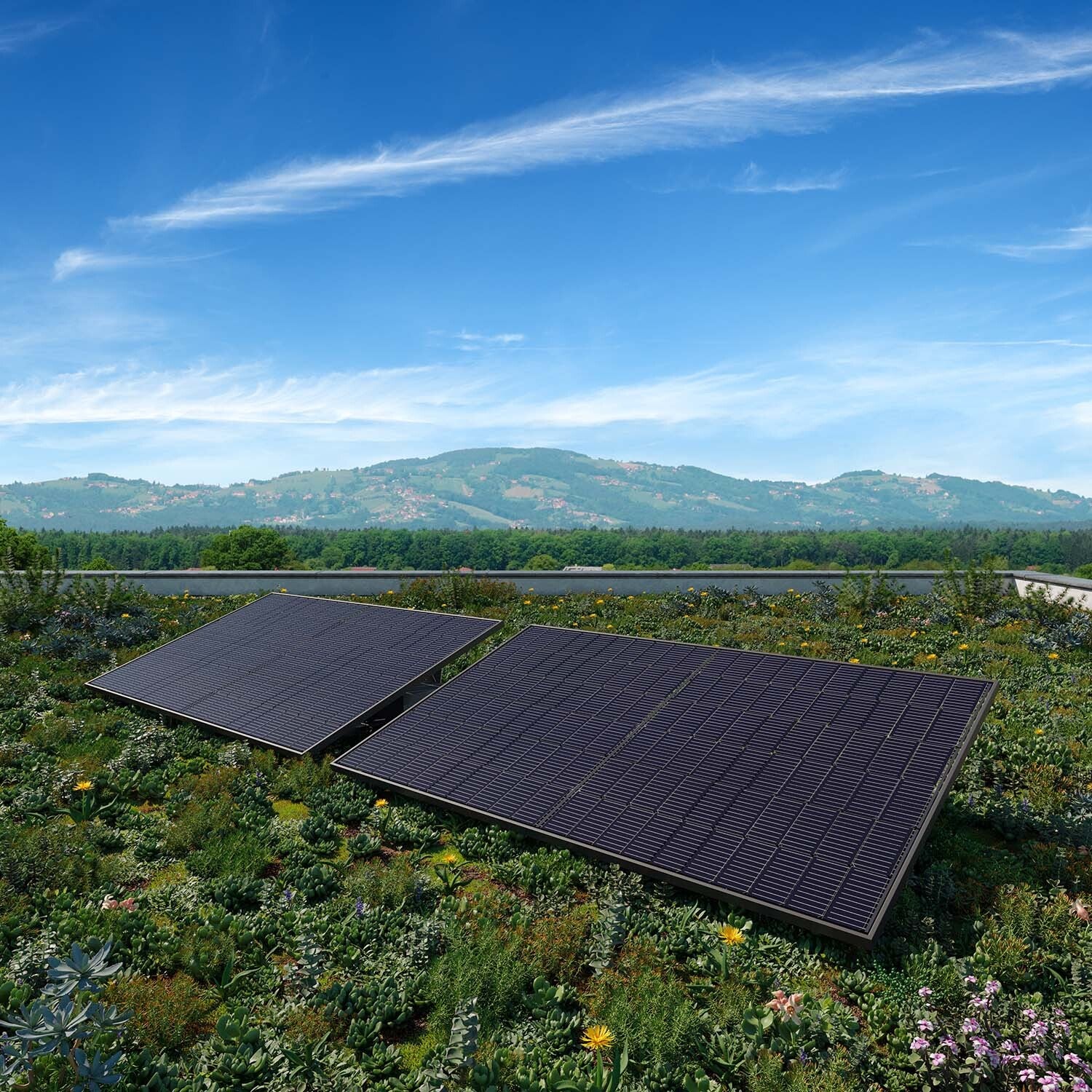 Solarmodule auf einem Flachdach. Im Hintergrund Bergpanorama. 